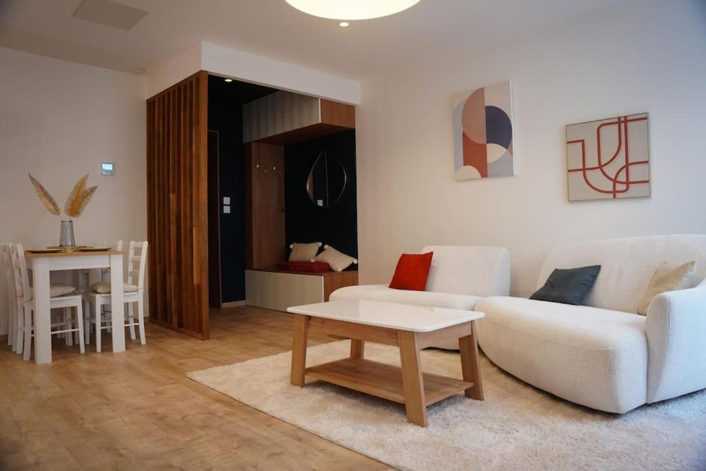סן-אטיין Bel Appartement Centre-Ville מראה חיצוני תמונה
